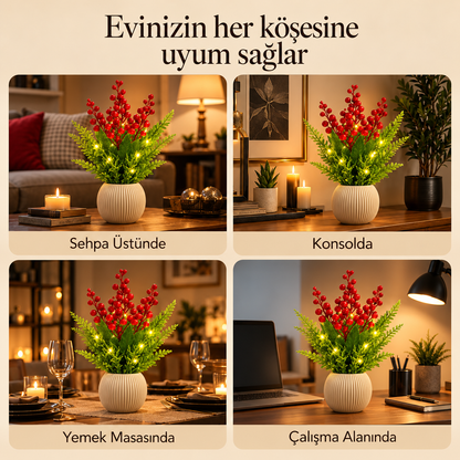 Lumine Işıklı Kokina