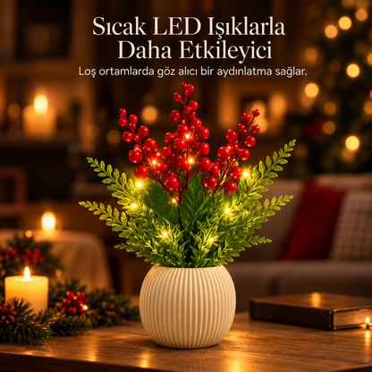 Lumine Işıklı Kokina