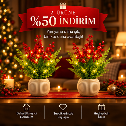 Lumine Işıklı Kokina